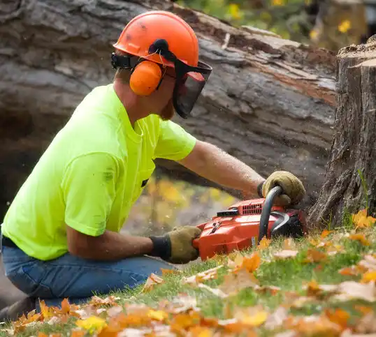 tree services Boyne City